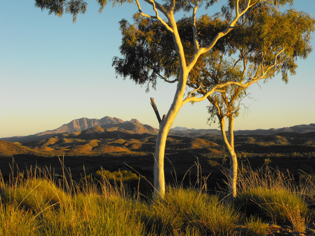 The Larapinta Trail-爱丽斯泉必去景点