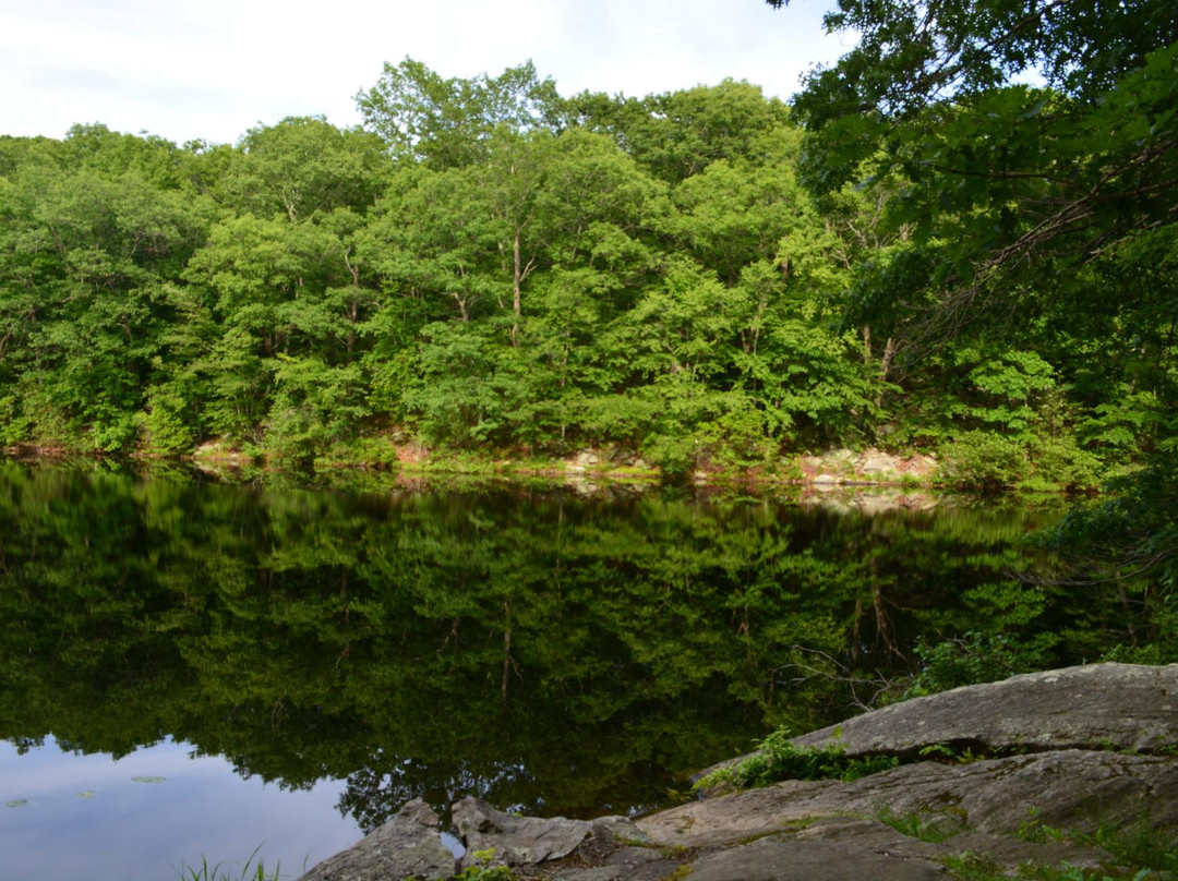 Lucius Pond Ordway / Devil's Den Preserve-Weston必去景点