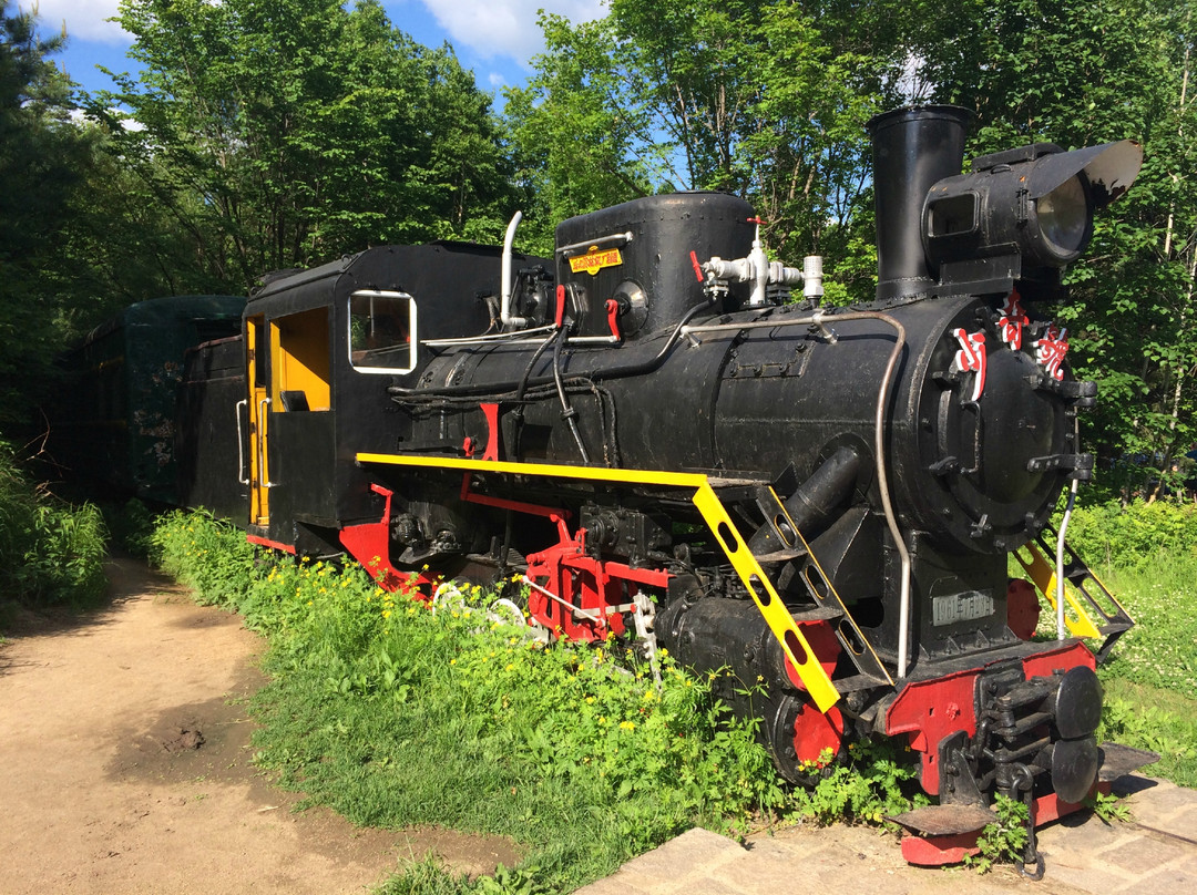 五营森林公园-伊春市必去景点