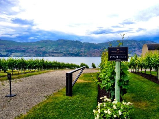 Mission Hill Family Estate Winery景点图片