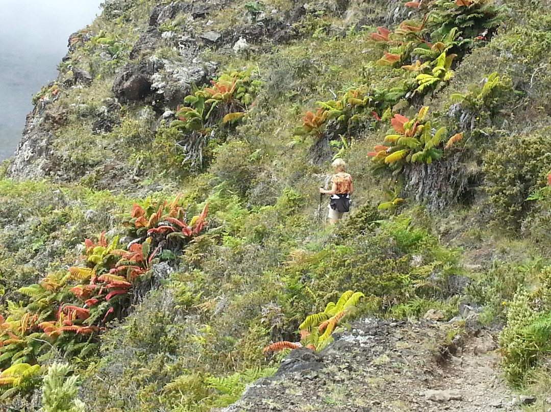 Halemaumau Trail-夏威夷火山国家公园必去景点