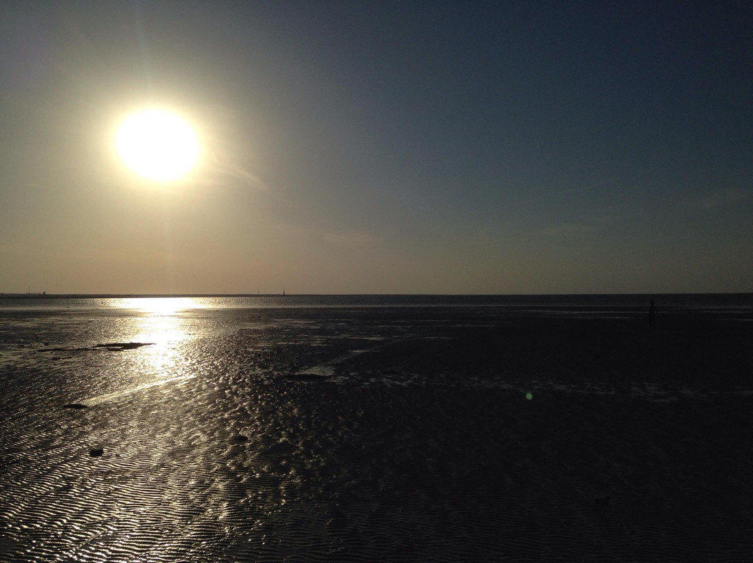 Zekreet Beach-Al-Rayyan必去景点