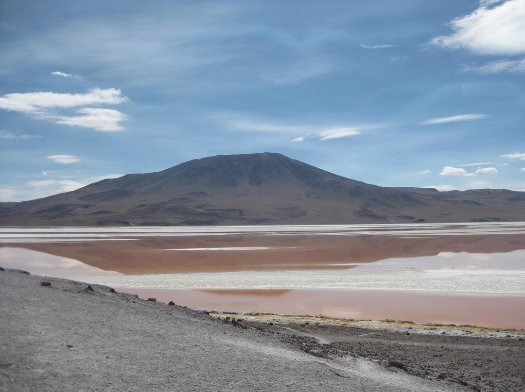 Laguna Colorada-波托西城必去景点