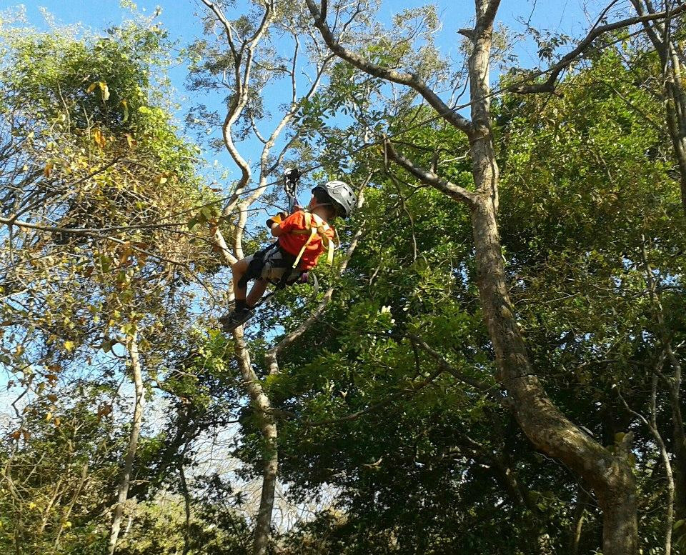 Canopy Vista Tamarindo景点图片