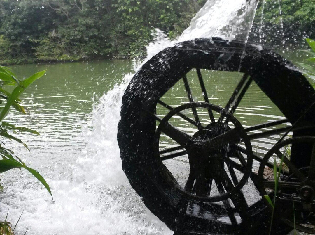 Ecoparque de las Garzas-卡利必去景点