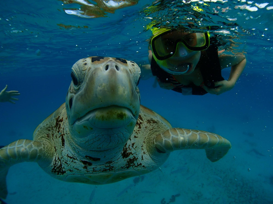 Cliff Sharker-奥伊斯廷斯必去景点