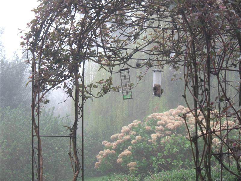 Baldash Cottage主图