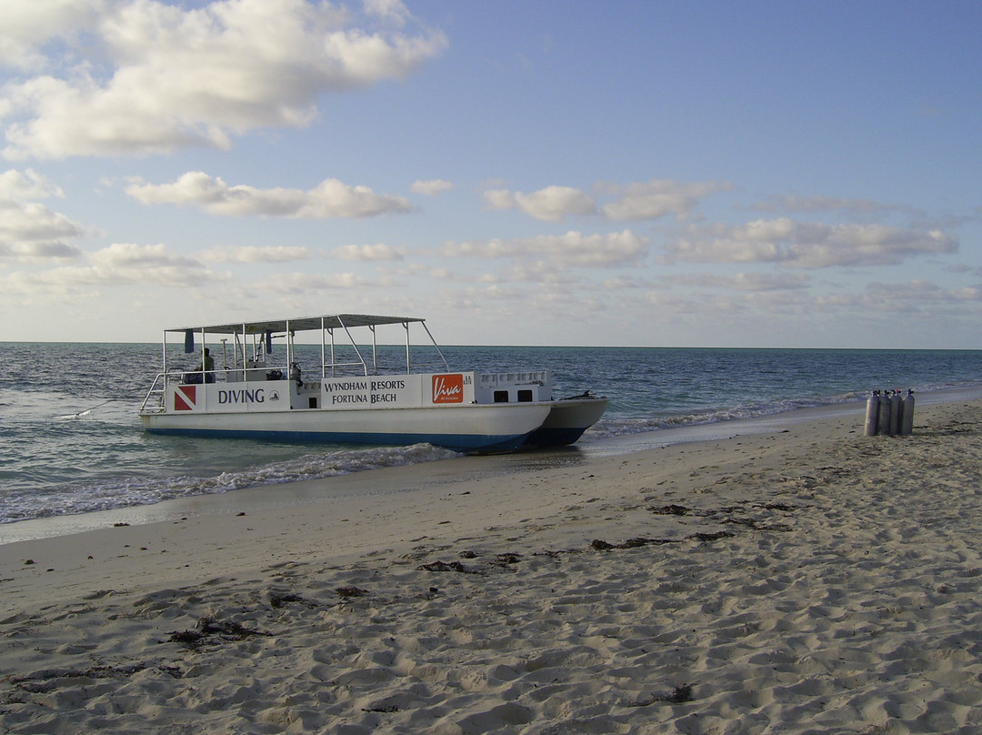 Reef Oasis Dive Club-弗里波特必去景点