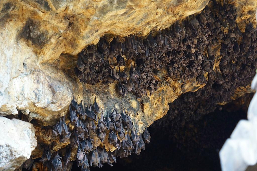 蝙蝠洞-巴厘岛必去景点