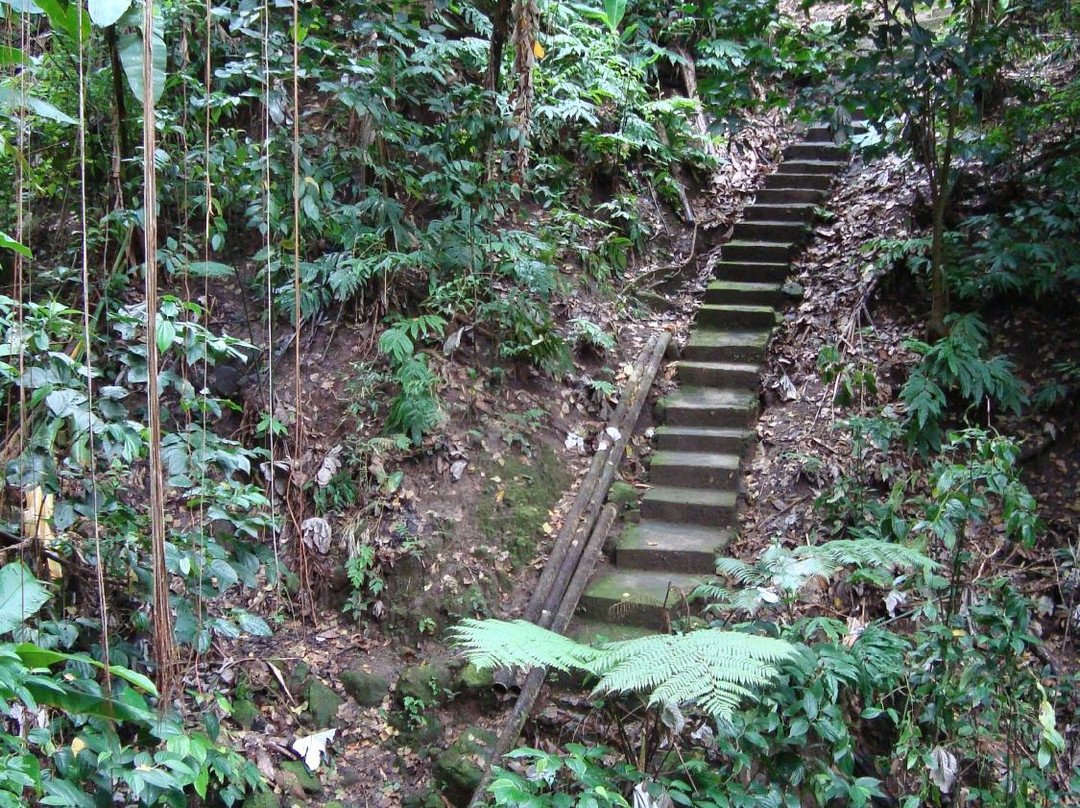 Cot Trail-蒙特塞拉特必去景点