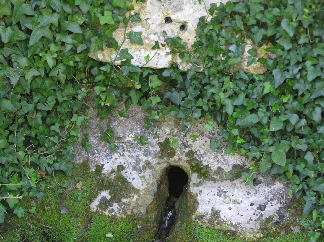 Chapelle de Guériteau景点图片