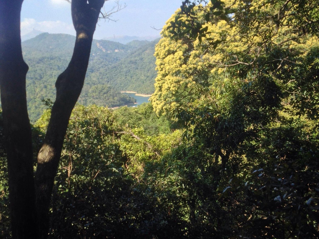 狮子山郊野公园-香港必去景点