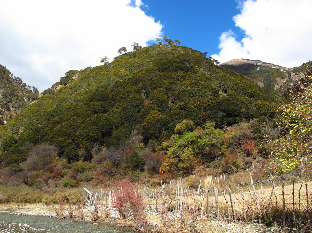 松赞梅里山居主图