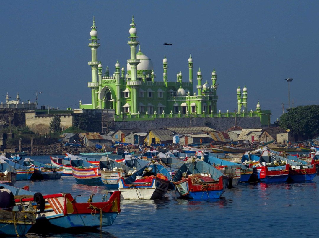 Kovalam Fish Market景点图片