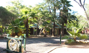 Village Motor Inn主图