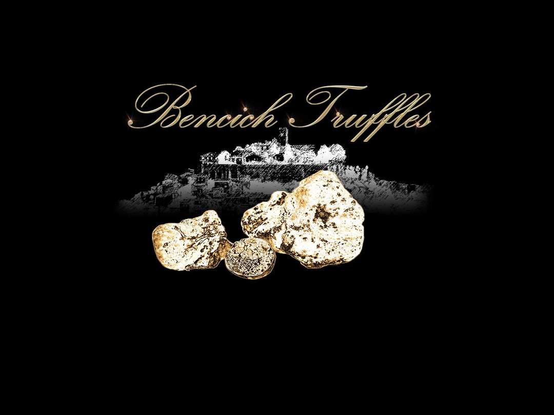 Oprtalj旅游景点-Bencic Truffles