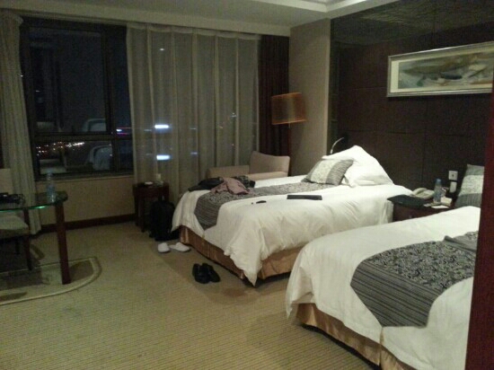 天鹅湖大酒店-客卧