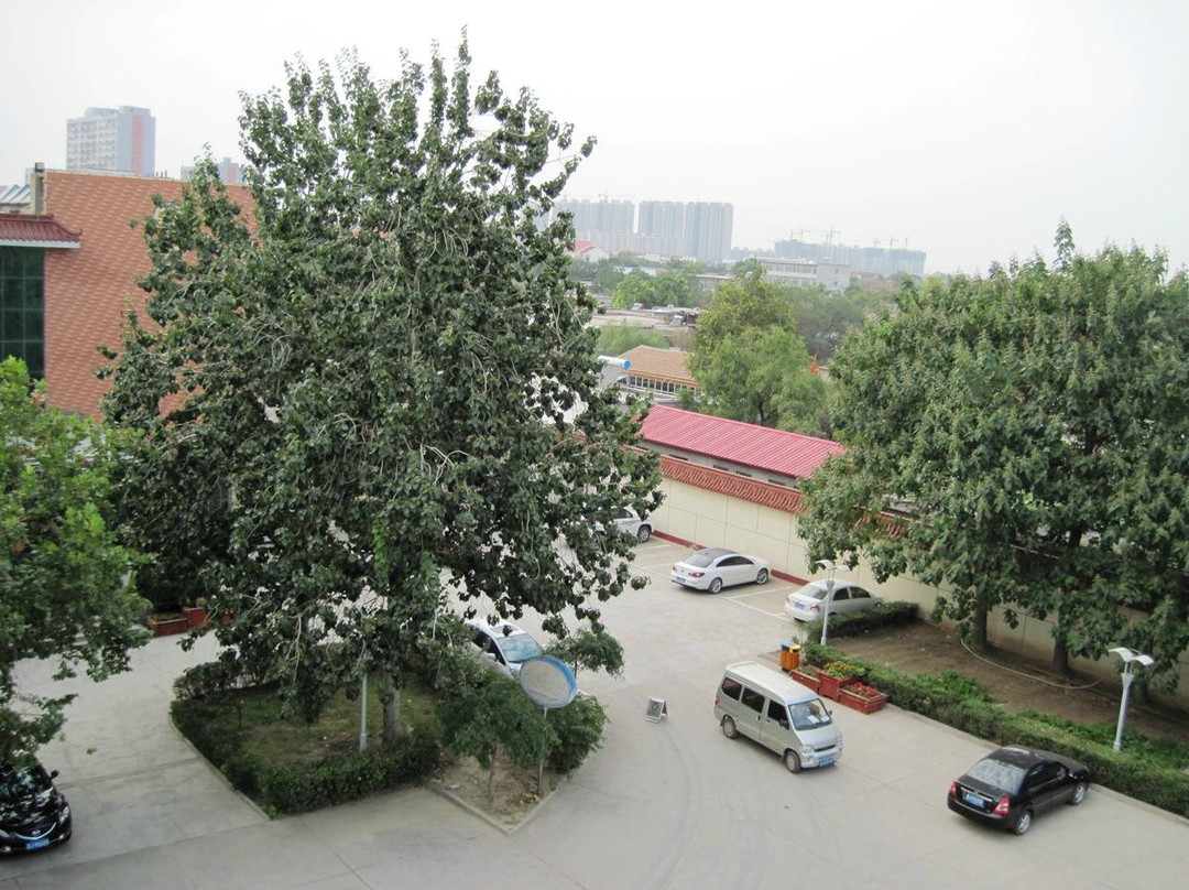 任丘乐家快捷酒店世纪商贸城店主图