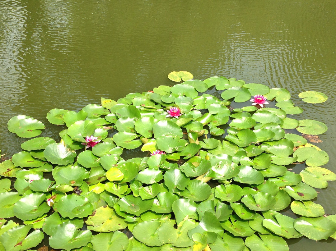 太湖鼋头渚-无锡市必去景点