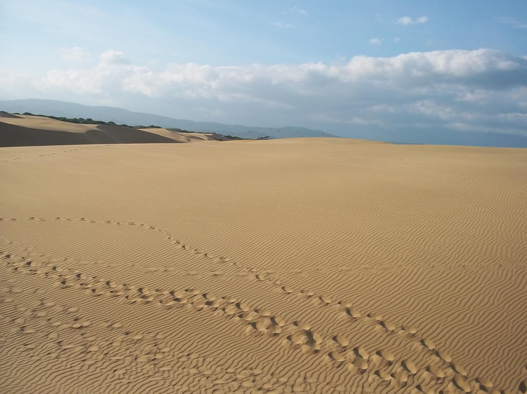 Los Medanos de Coro景点图片