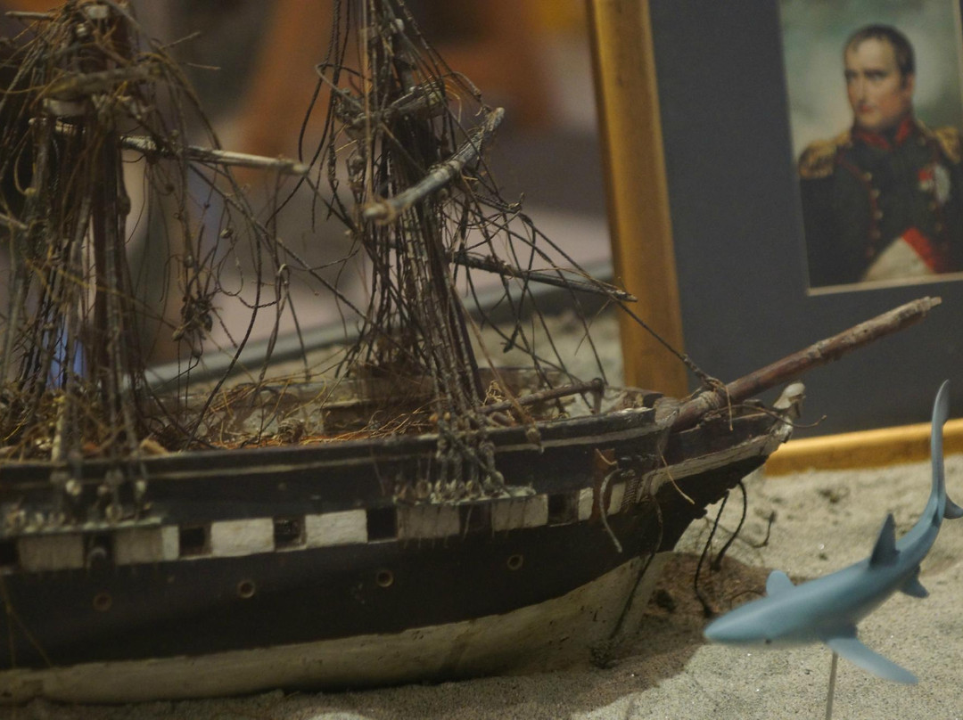 K.u.K. Marinemuseum-诺维格拉德必去景点