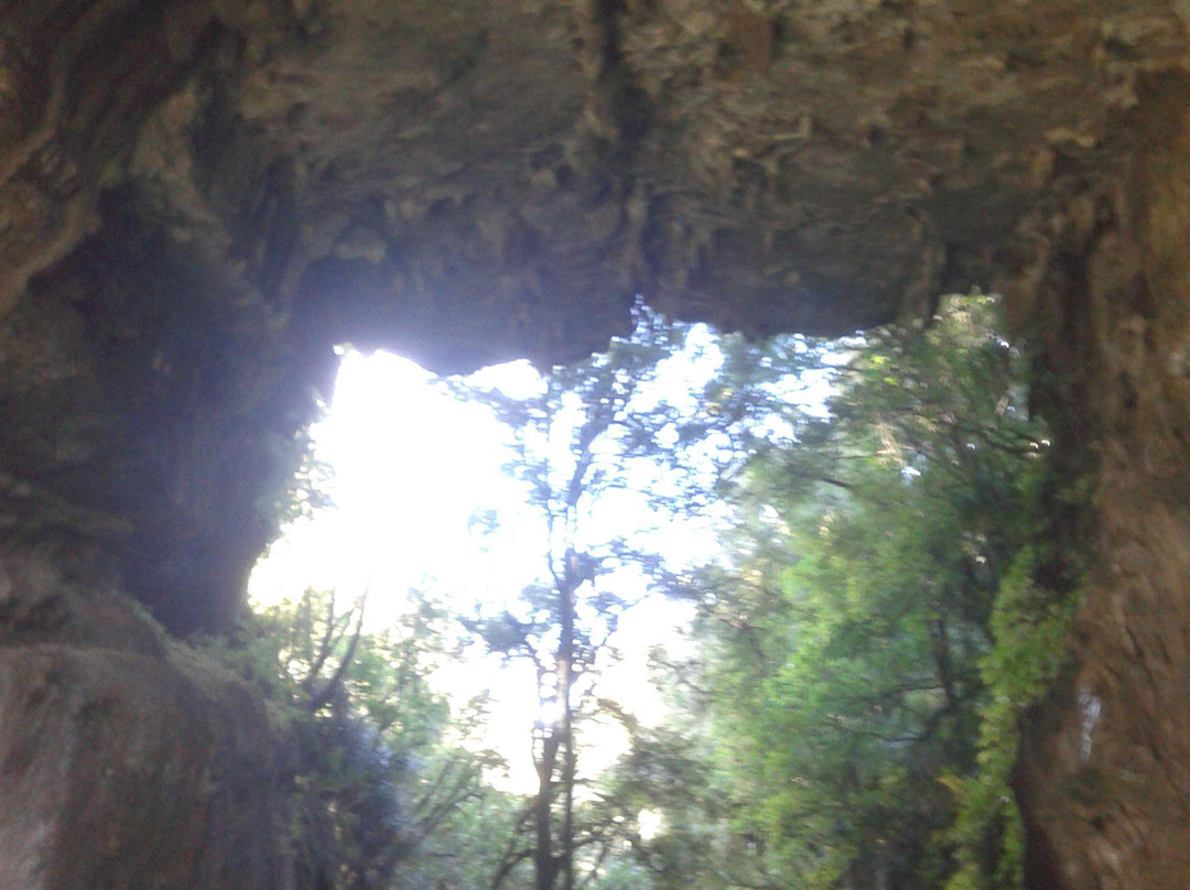 Mangapohue Natural Bridge Walk-怀托摩洞穴必去景点