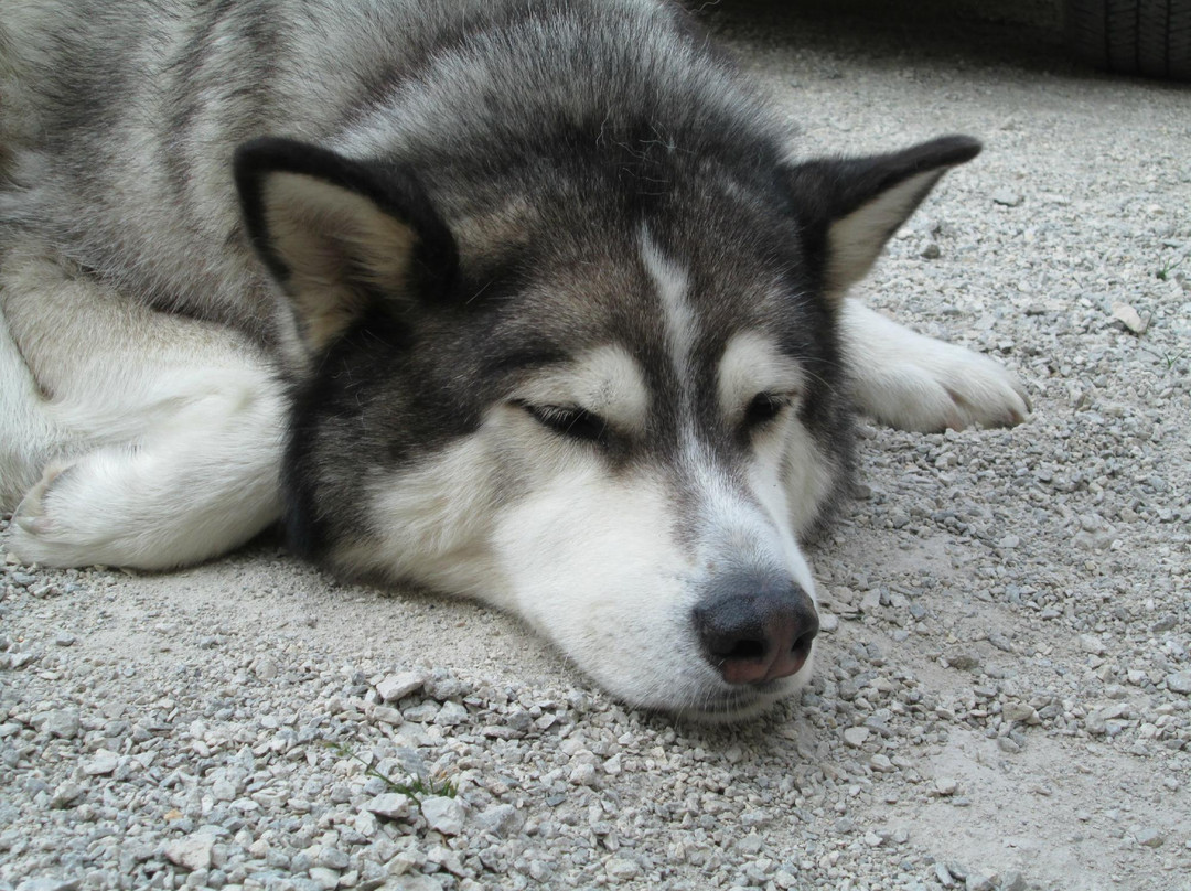 Wild Apple Hill BnB主图