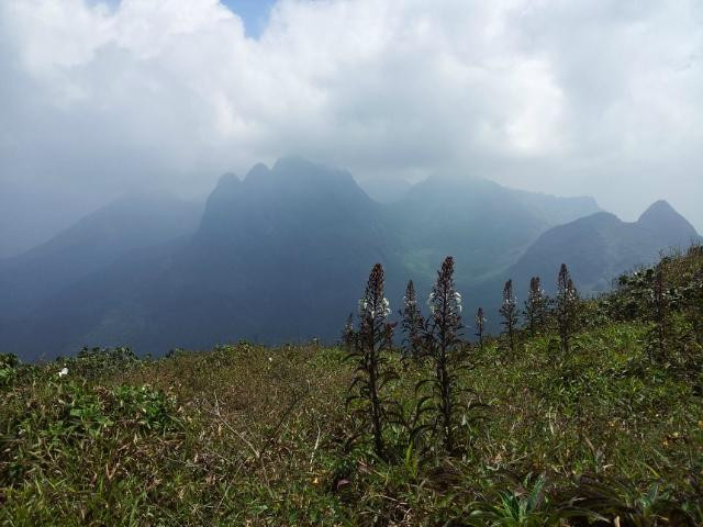 Agastya Mala-提卢湾安塔普兰（特里凡德伦）必去景点