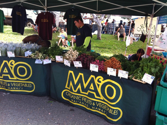 周六农夫市场-火奴鲁鲁必去景点