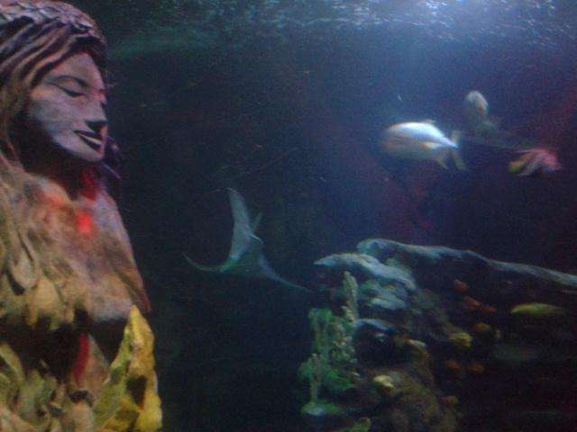 国家海洋生物中心-伯明翰必去景点