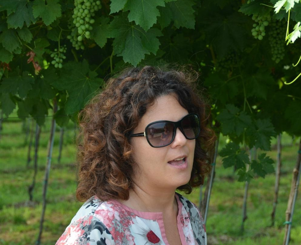 San Rustico Winery景点图片