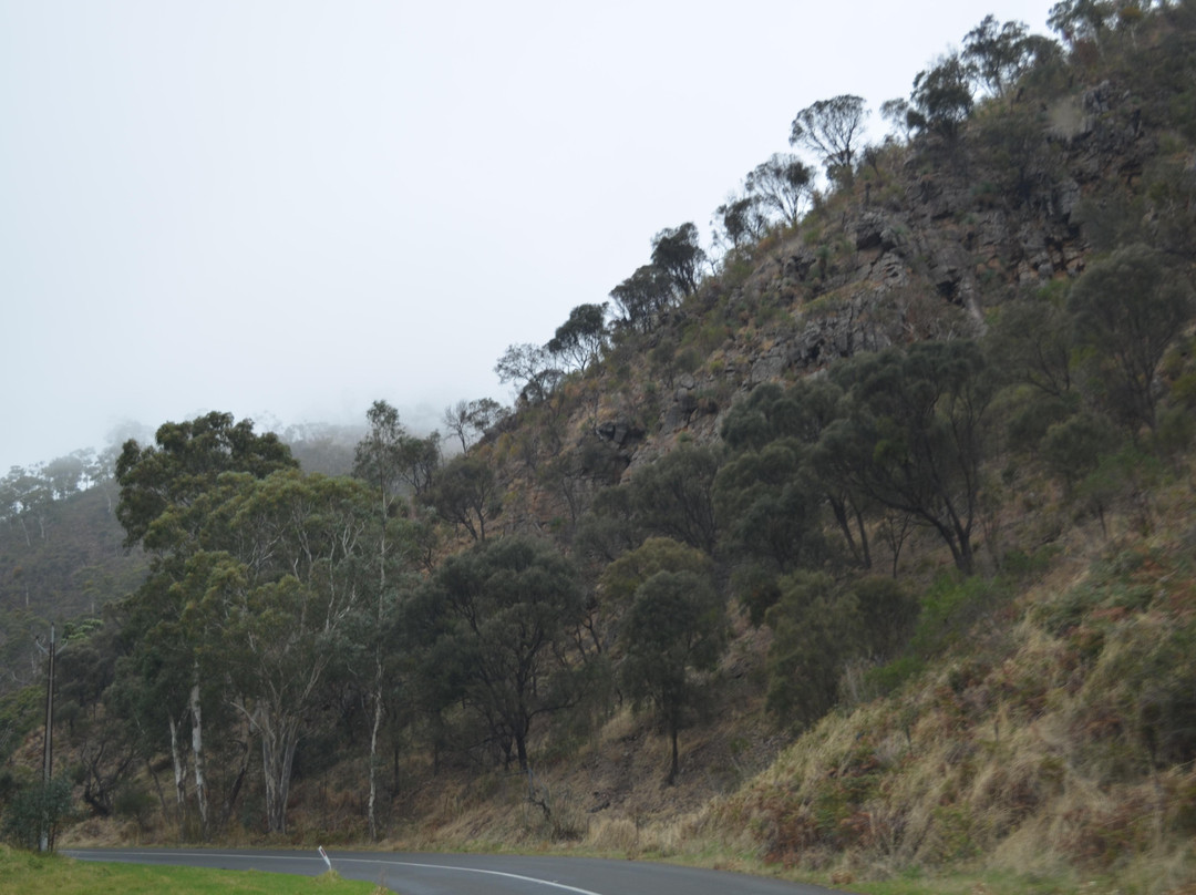 Black Hill Conservation Park-阿德莱德必去景点