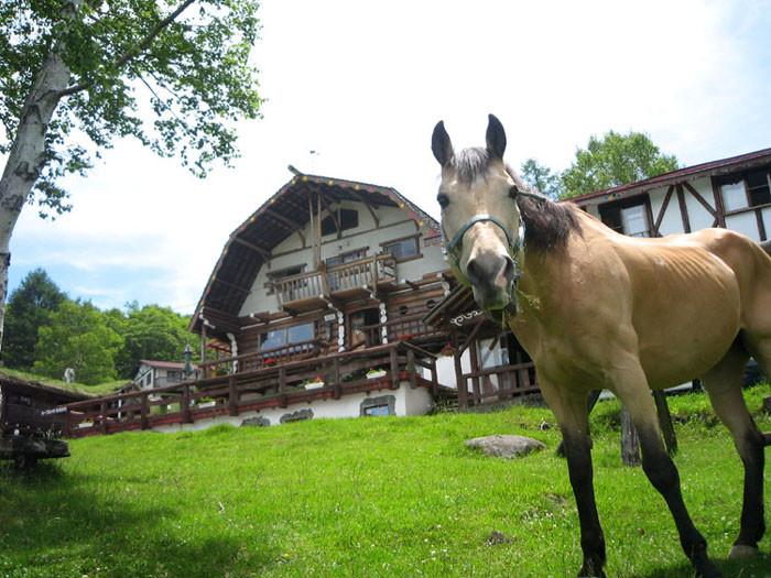 Hope Lodge Ranch Horseback Riding-茅野市必去景点
