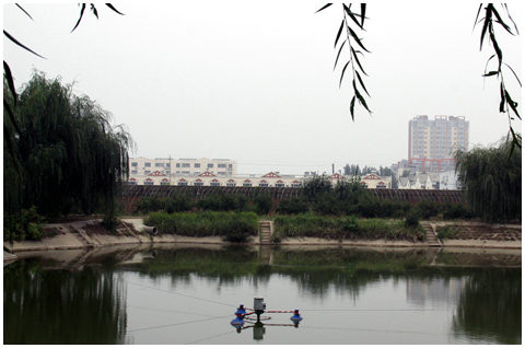 吴桥县旅游攻略图片