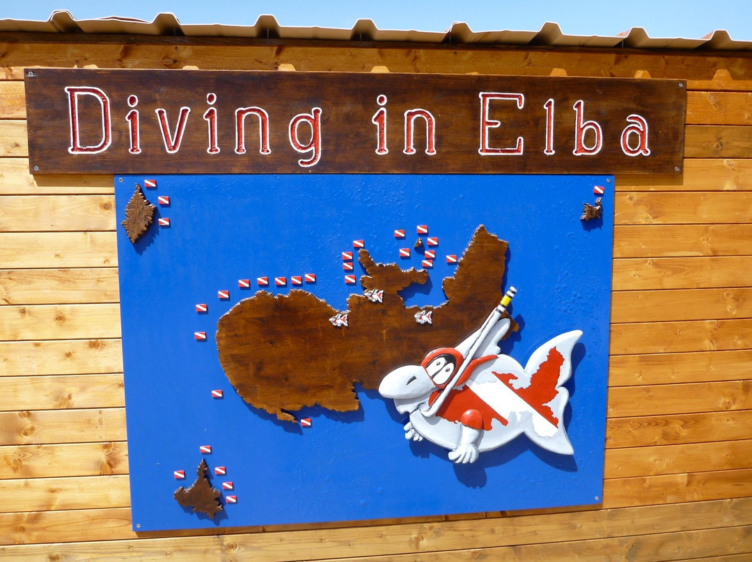 Diving in Elba景点图片