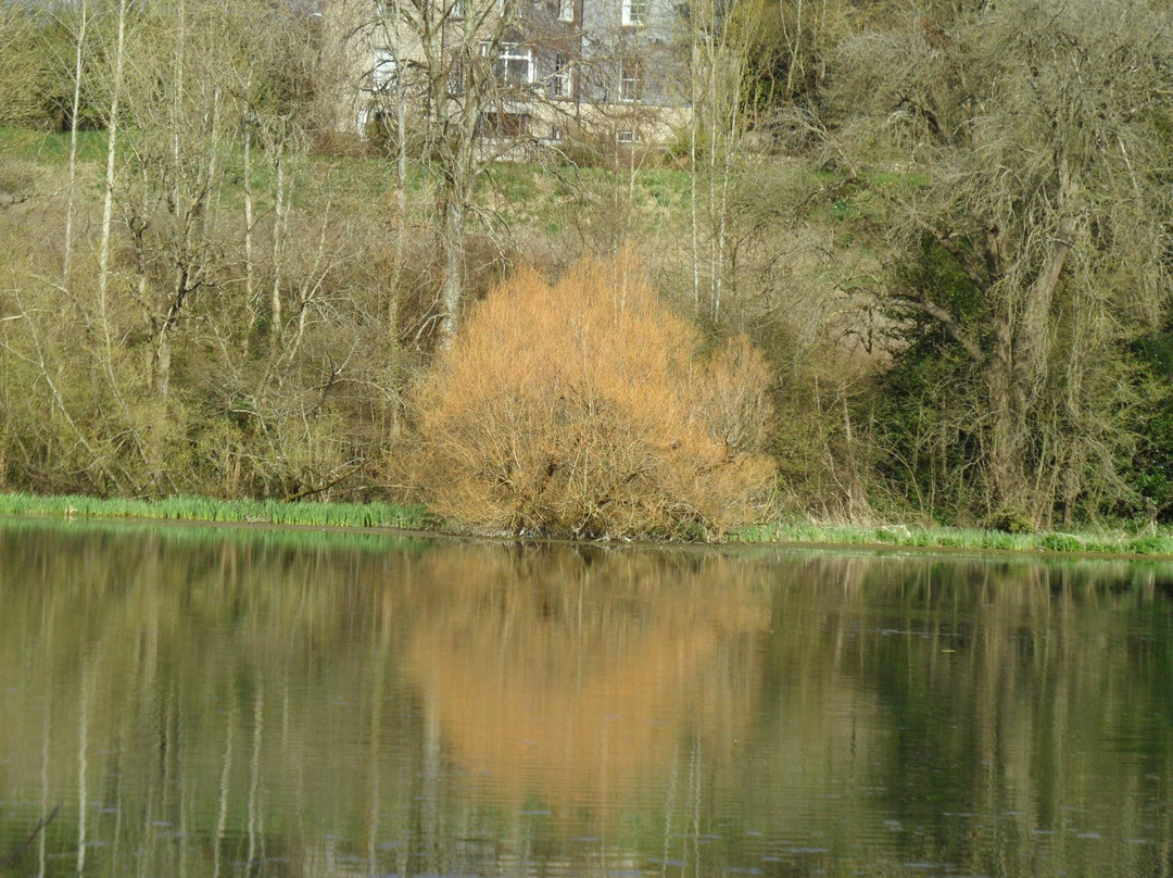 Marfield Lake-Clonmel必去景点