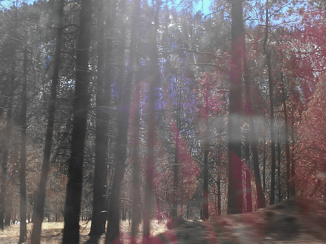 Bonito Stables-鲁伊多索必去景点