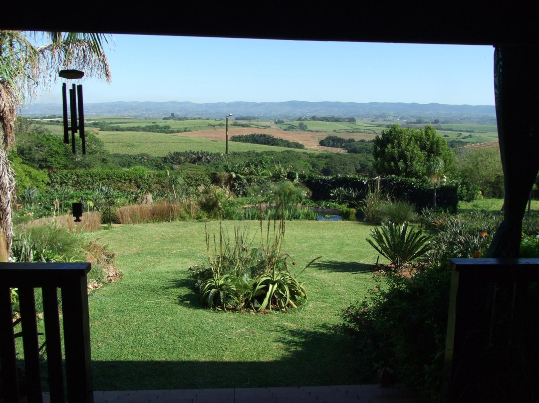 Bird and Butterfly B&B主图