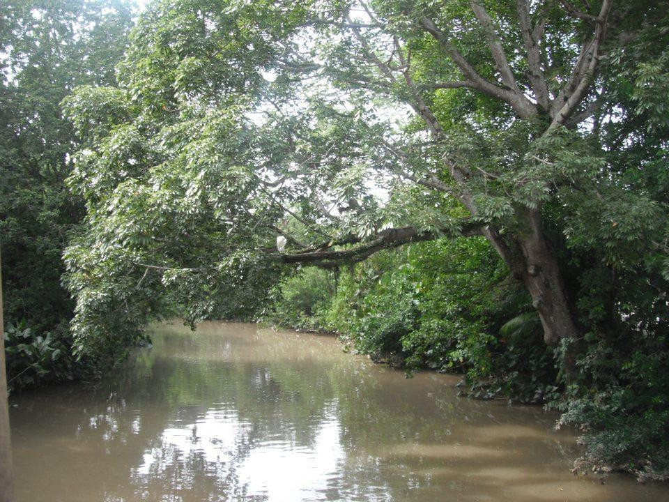 Universidade Federal do Pará-贝伦必去景点