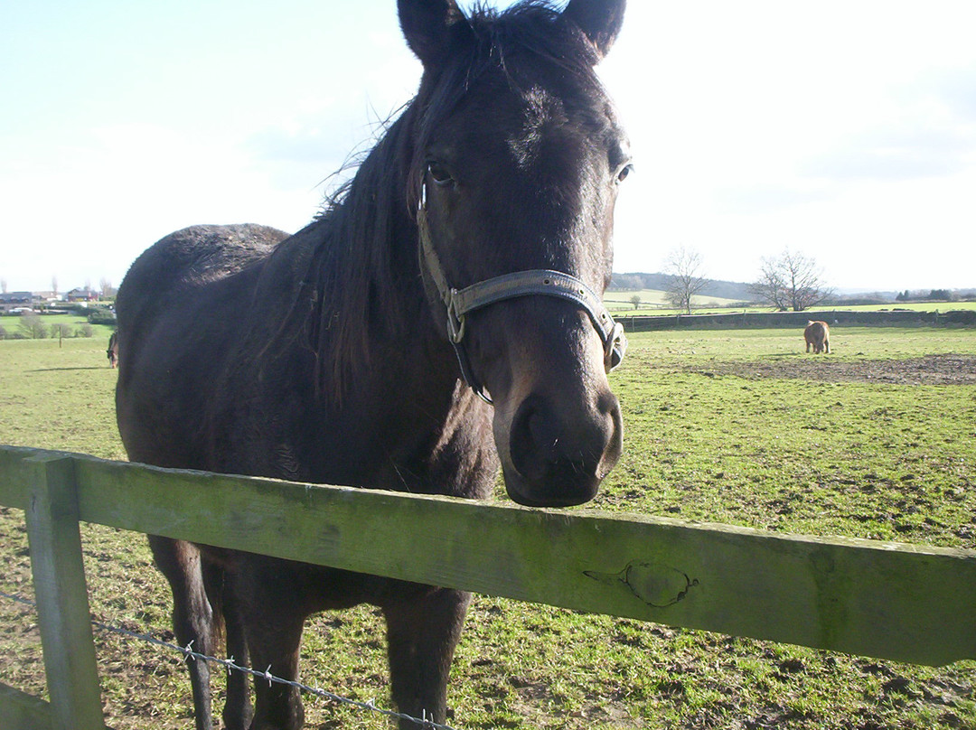 Upper Midgley Farm B&B主图