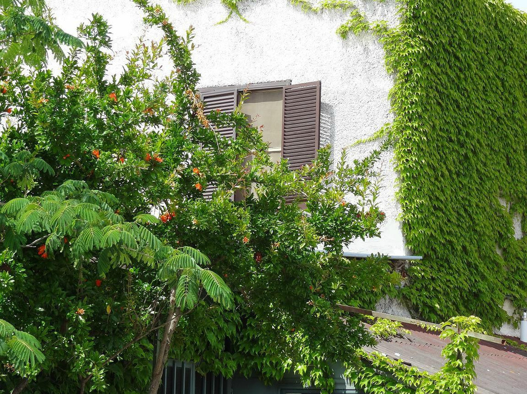 Pescia Fiorentina酒店住宿-Hotel La Torricella