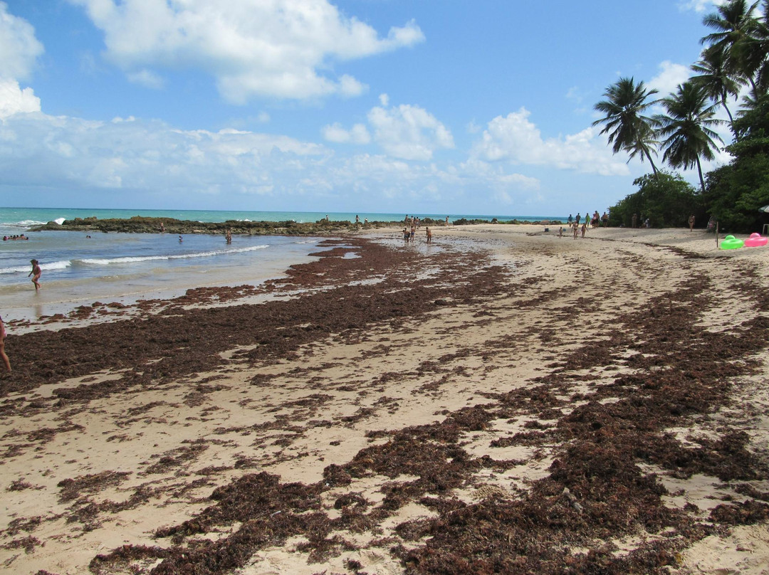 Praia do Coqueirinho-Conde必去景点