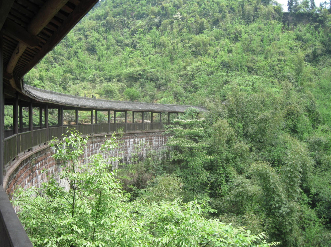 川西竹海-沐川县必去景点