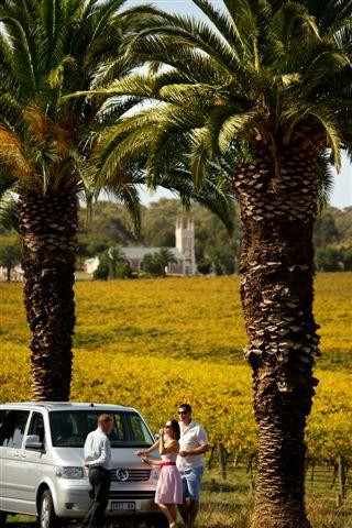 Barossa Taste Sensations - Day Tours景点图片