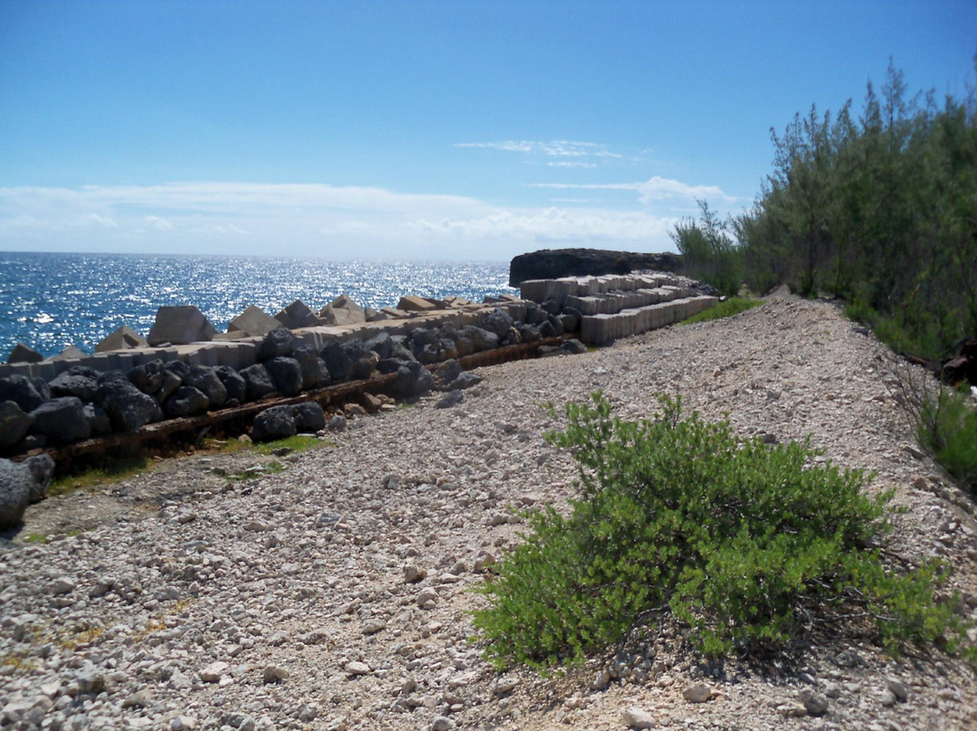 Morgan's Bluff-Andros必去景点