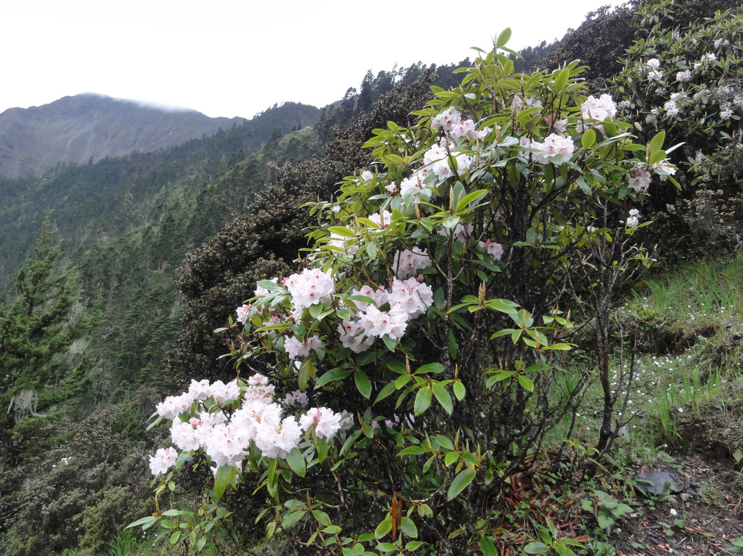 冶勒自然保护区-冕宁县必去景点