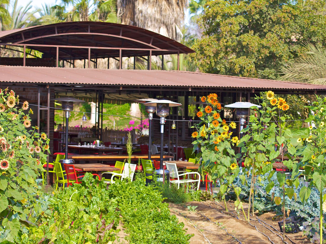 Animas Bajas旅游攻略图片