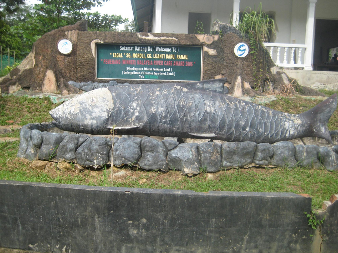Sungai Moroli Fish Massage-拉瑙必去景点