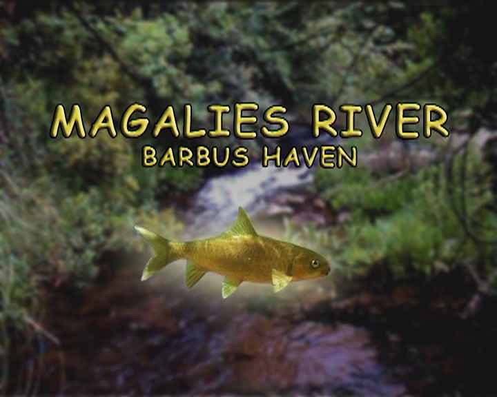 Barbus Haven Fly Fishing-Magaliesburg必去景点