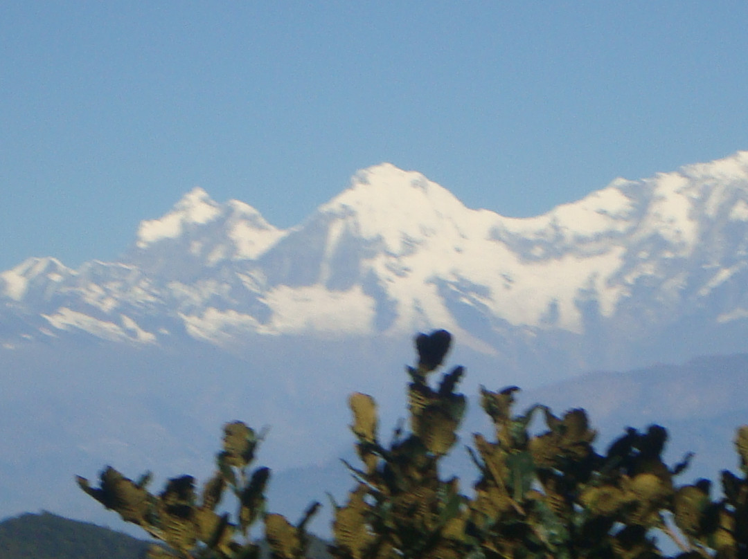 View Tower and Daman Resort主图